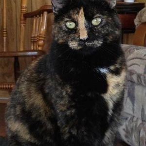 Meet your Posher, Christa